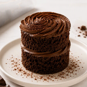 Mini Fudge Cake